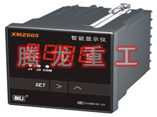 溫度表、數(shù)字顯示儀、濕度表