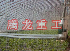 大棚花卉供暖設(shè)備、大棚卉采暖設(shè)備、大棚花卉取暖設(shè)備