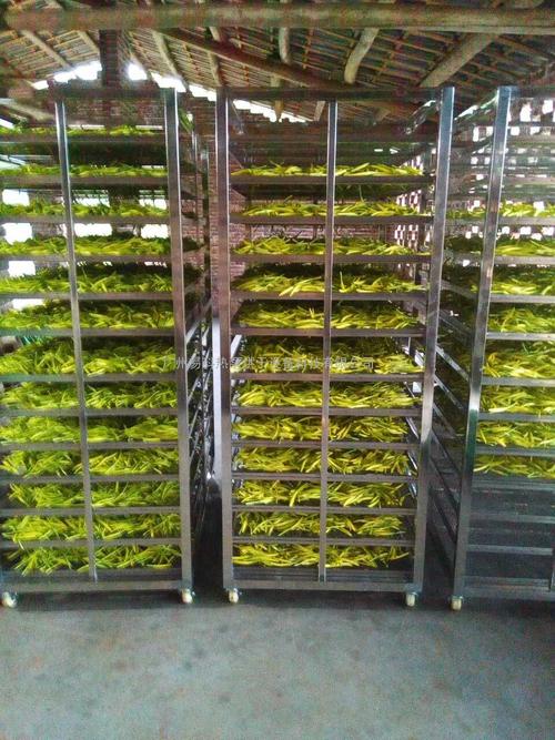 黃花菜烘干機(jī)、黃花菜烘干設(shè)備、黃花菜干燥機(jī)、黃花菜干燥設(shè)備、